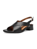 ara Riemchensandalette in schwarz