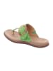 Gabor Klassische Pantolette in grün