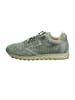 Cetti Sneaker Low in Grün