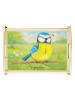 Mr. & Mrs. Panda Holz Tablett Vogel Blaumeise Design ohne Spruch in Weiß