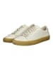 sneaky steve Sneaker Hellgrau