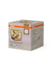Osram Decor Gleam LED Tischleuchte 2W CCT Beige Terrazzo
