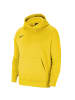 Nike Nike Dry Park 20 JR Hoodie in Gelb