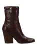 Steve Madden Stiefelette in Braun