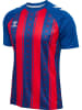 Hummel T-Shirt Raglanärmel Hmlmatch Erwachsene in TRUE BLUE/TRUE RED