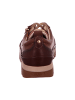 Pikolinos Schnürschuh in braun