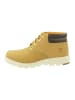 Timberland Stiefel WALDEN PARK WR Chukka in braun