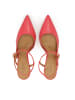 Kazar Pumps in Rosa
