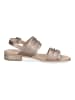 Caprice Sandalen in Taupe