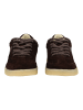 BLAUER USA Sneaker Dunkelbraun