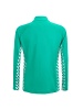 Puma Sportanzug / Freizeitanzug dryCELL Material für dein Training in Grün