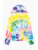 Champion Hoodie Hooded Sweatshirt in Multicolor