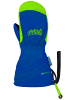 Reusch Fäustling Maxi R-TEX XT Mitten in surf the web/green gecko