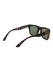 Superdry Frauen Sonnenbrille Quadratisch Braun