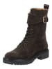 GANT Footwear Stiefelette in Espresso