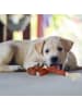 relaxdays 4x Hundespielzeug "Wurst" in Rot-Weiß