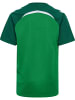 Hummel T-Shirt Hmllead Kinder in JELLY BEAN/EVERGREEN