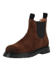 Pavement Stiefelette ESMARA SUEDE in Braun