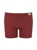 Sloggi Boxershort 4er Pack in Braun Mix