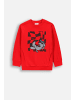 Coccodrillo Sweatshirt in rot
