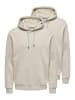 ONLY & SONS Sweatshirt / Hoodie Ceres in Silver lining