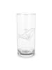 Mr. & Mrs. Panda Wasserglas Orca ohne Spruch in Transparent