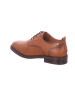 Pikolinos Schnürschuh in braun