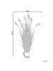 Beliani Kunstpflanze CLAW FLOWER in Grün/Braun/Schwarz - (W) 60 x (H) 150 x (L) 60 cm