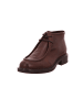 phenumb Stiefel in braun