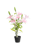 Beliani Kunstpflanze LILIARIUM in Rosa/Grün - (W) 45 x (H) 85 x (L) 45 cm