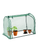 relaxdays Foliengewächshaus in Transparent/ Grün -  (B)113 x (H)80 x (T)70 cm