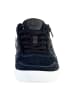 Geox U Box Sneaker Blau