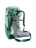 Deuter Futura 24 SL in Grün2010