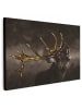 OnlyWow Leinwand Bilder Hirsch