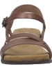 Josef Seibel Riemchen Sandalen für Damen in braun