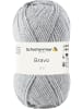 Schachenmayr since 1822 Handstrickgarne Bravo, 50g in Hellgrau Meliert