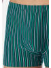 Schiesser Retro Short / Pant 95/5 Essentials in Blau / grün