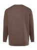 Boston Park Sweatshirt in kaffeebraun