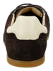 GANT Footwear Sneaker in Dunkelbraun