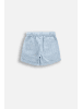 Coccodrillo Kurze Hosen in blau