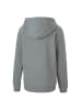 Puma Sweatshirt teamGOAL 23 Casuals Hooded Jacket Jr  in grau