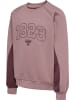Hummel Hummel Sweatshirt Raglanärmel Hmlkanna E-Sport Mädchen in TWILIGHT MAUVE