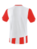 erima Unisex Erwachsene Siena 3.0 Trikot in rot/weiss