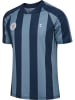 Hummel Hummel T-Shirt Hmlpulse Herren in BLUE MIRAGE/DRESS BLUE