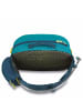 Dakine Packs Hot Laps 5 - Gürteltasche 30 cm (blue haze) in deep lake