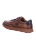 Bugatti Sneaker Low in braun