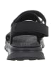 Skechers Sandale in schwarz