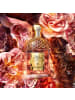 Guerlain Eau de Parfum Aqua Allegoria Forte Rosa Palissandro 75 ml