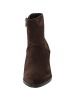 palado Stiefeletten in 3413 d brown