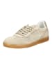 Steve Madden Sneaker in Beige